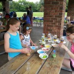 picnic1
